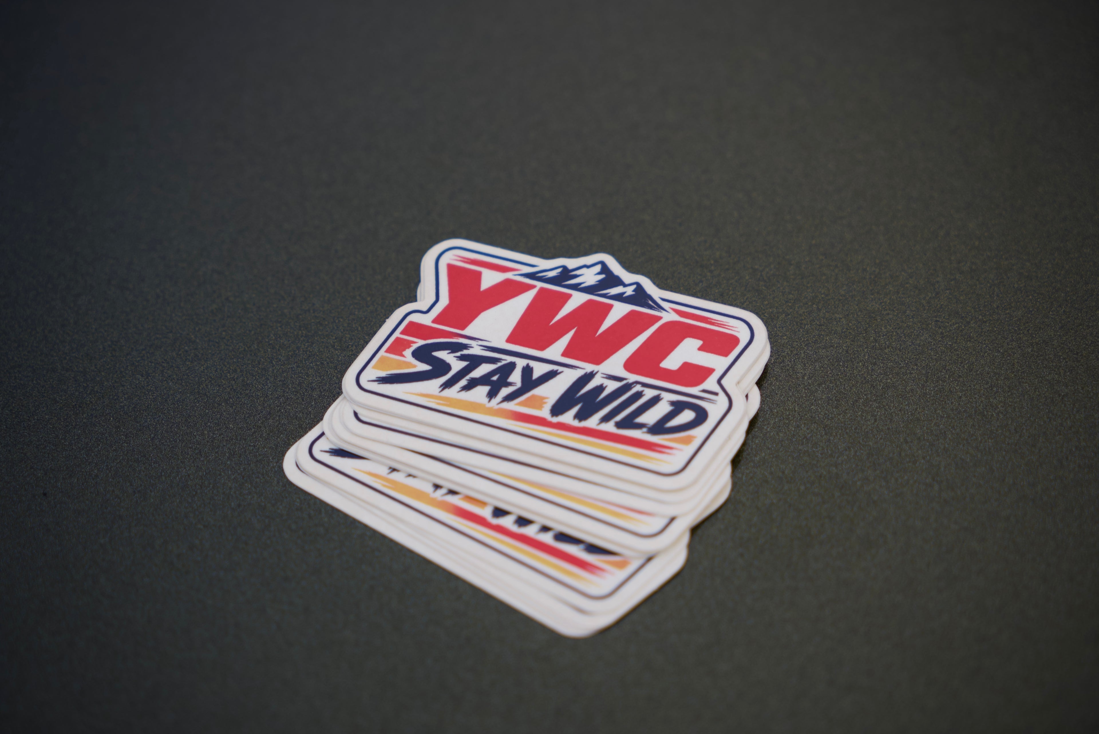 Stay Wild Sticker